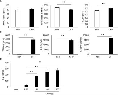 Culture filtrate proteins from BCG act as adjuvants for cytotoxic T lymphocyte induction